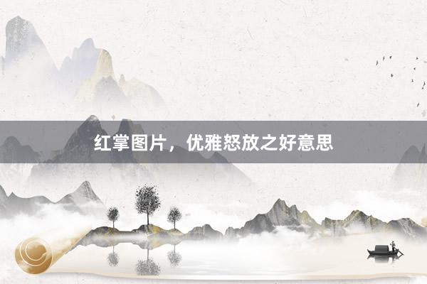 红掌图片，优雅怒放之好意思
