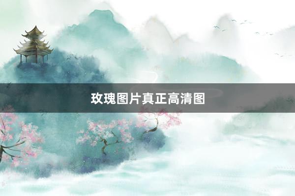 玫瑰图片真正高清图